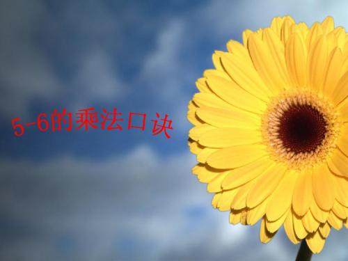 5-6的乘法口诀