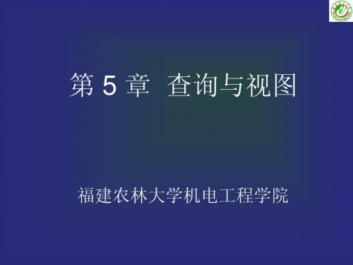 VF第5章 查询与视图