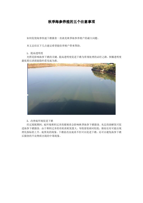 秋季海参养殖的五个注意事项