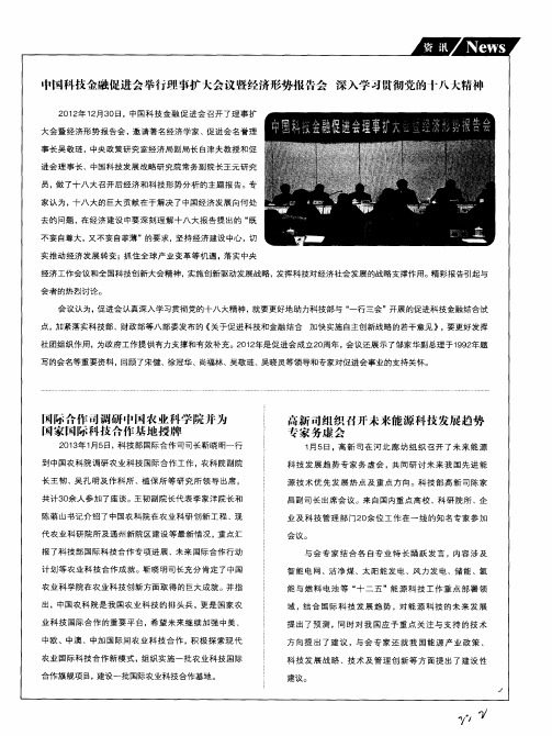 高新司组织召开未来能源科技发展趋势专家务虚会