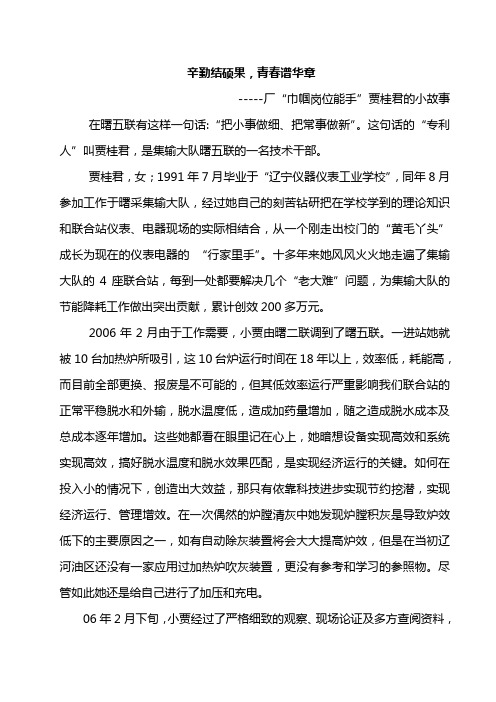 集输：小贾的故事1