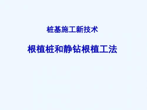 根植桩和静钻根植施工工法PPT课件