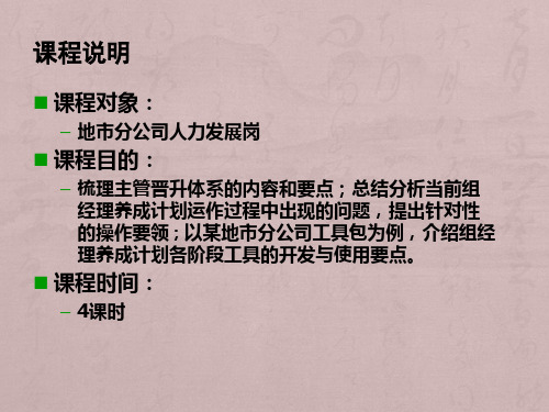 保险主管晋升体系(备)