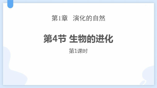 浙教版九年级下册科学《生物的进化》教学说课课件