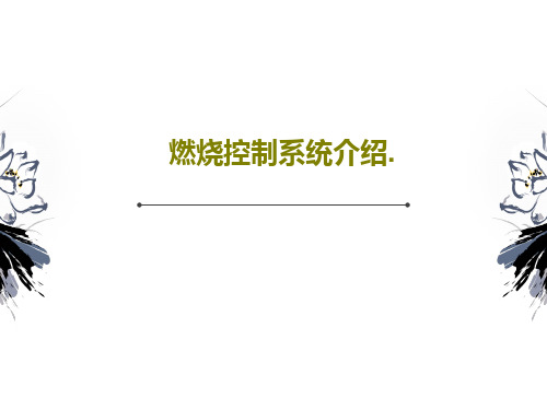 燃烧控制系统介绍.38页文档