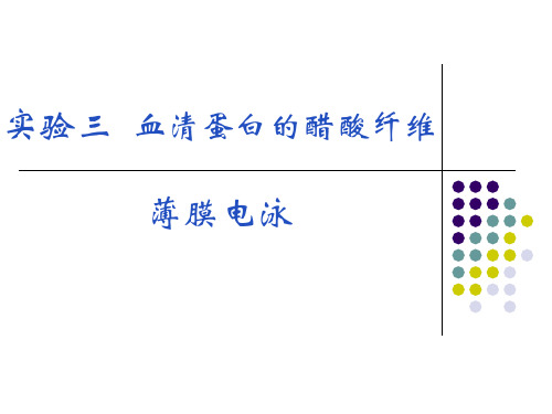 实验四  醋酸纤维薄膜电泳分离血清蛋白