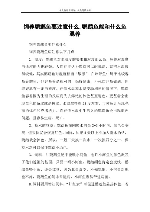 饲养鹦鹉鱼要注意什么,鹦鹉鱼能和什么鱼混养