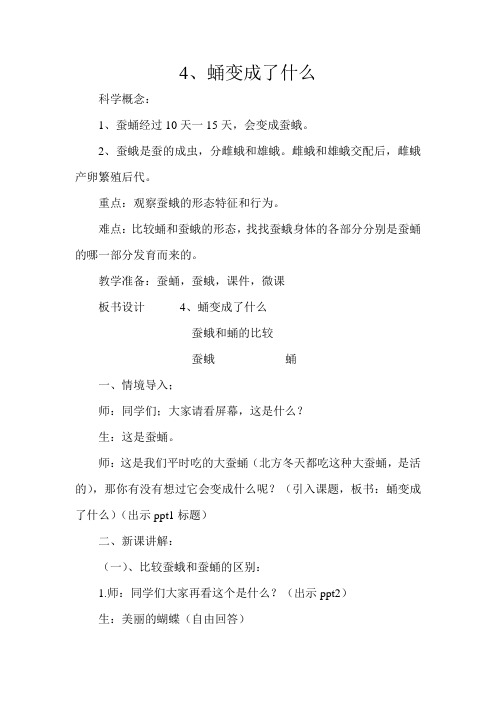 教科版小学科学三年级下册《二 动物的生命周期 蛹变成了什么》优质课教学设计_16