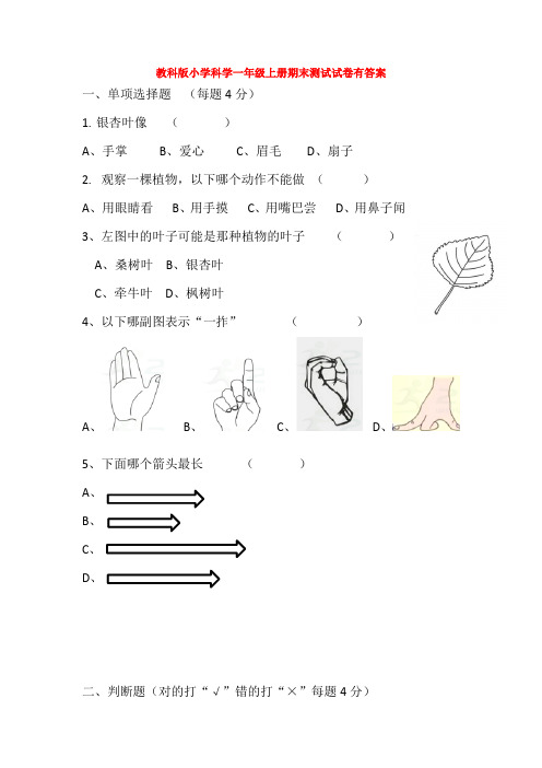 教科版小学科学一年级上册期末测试试卷有答案