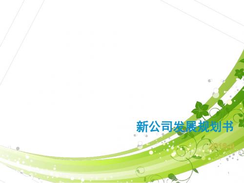 新公司发展规划书ppt课件