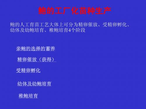 鲍的工厂化苗种生产