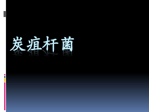 炭疽杆菌