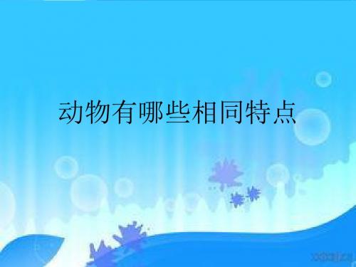 动物有哪些相同特点