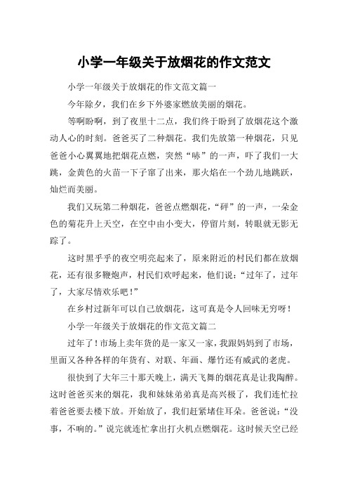 小学一年级关于放烟花的作文范文