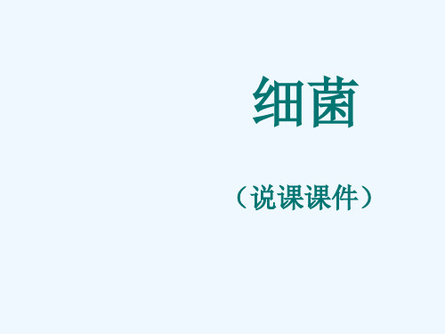 八年级生物上册《细菌》说课课件