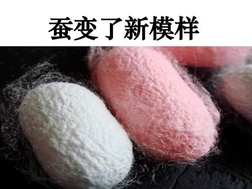 《蚕变了新模样》动物的生命周期PPT课件 (共20张PPT)