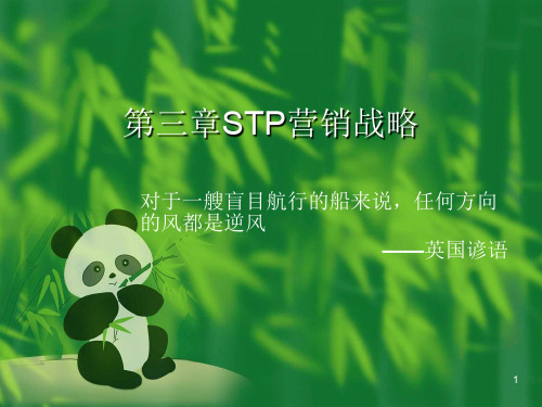 STP营销战略分析ppt课件