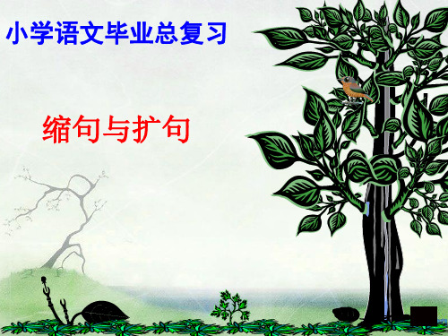 小学语文总复习缩句、扩句