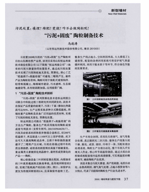 “污泥+固废”陶粒制备技术