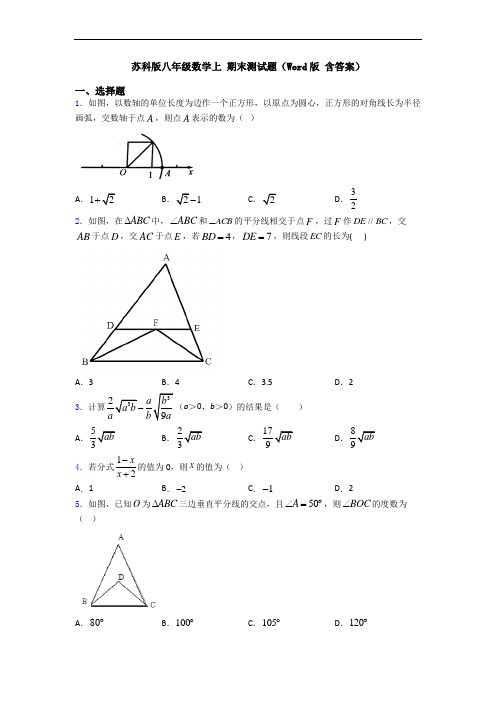 苏科版八年级数学上 期末测试题(Word版 含答案)