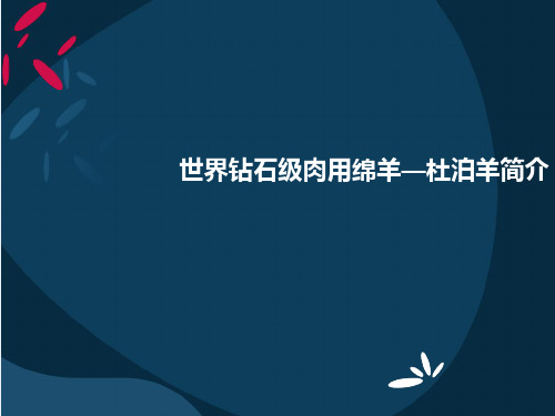 世界钻石级肉用绵羊—杜泊羊简介