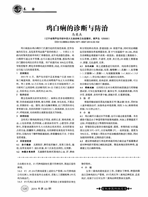 鸡白痢的诊断与防治