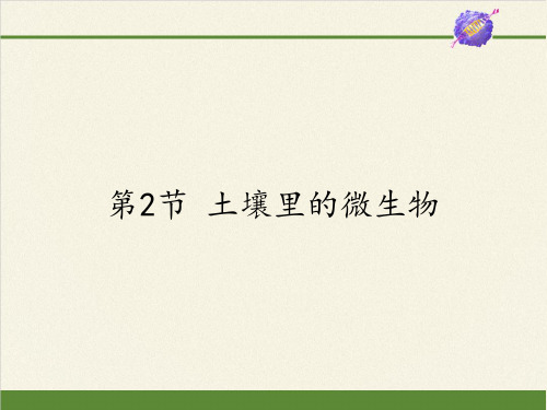 苏科版初中生物七年级下册课件-5.13.2 土壤里的微生物4