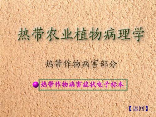 热带作物病害症状电子标本-热带植物病害部分-热带农业植物病理学-海南大学