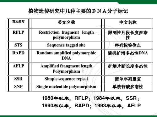 RFLP标记