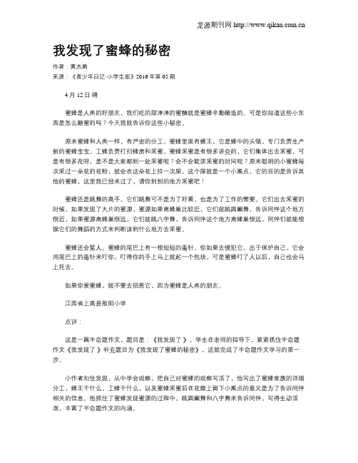 我发现了蜜蜂的秘密