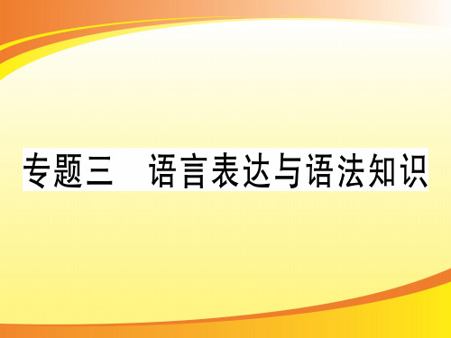 专题三 语言表达与语法知识PPT语文课件