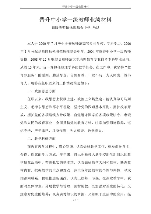 晋升中学一级业绩材料