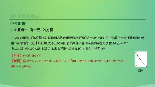 湖南省中考数学总复习方程(组)与不等式(组)课时08一元二次方程及其应用课件