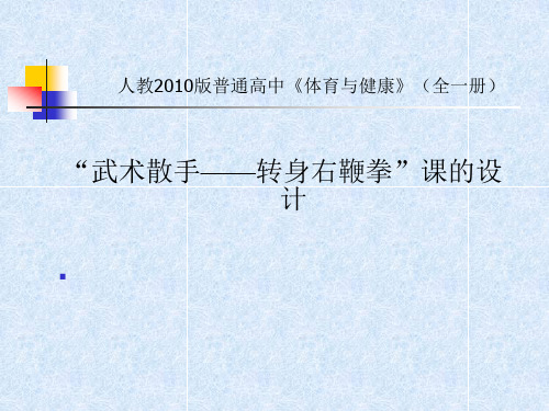 武术散手——转身右鞭拳