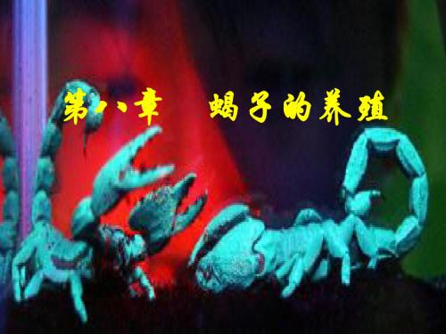 经济动物(蝎子)