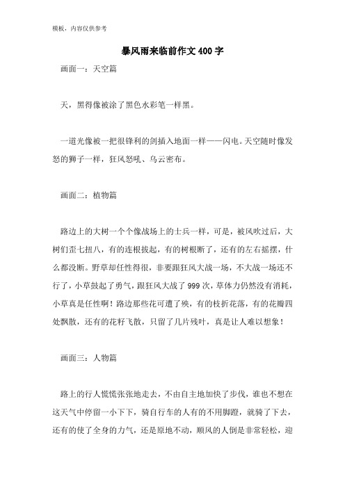 暴风雨来临前作文400字