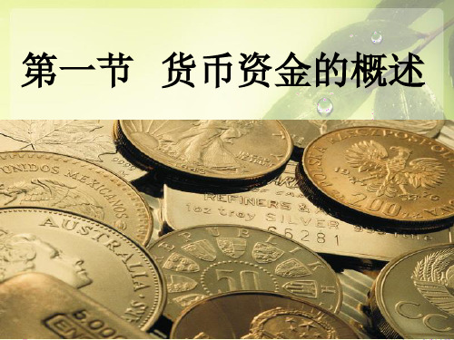 第一节 货币资金概述分解
