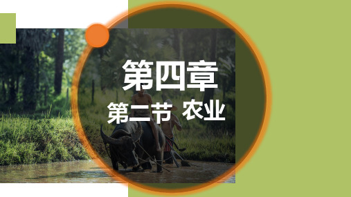 人教版初中地理《中国的经济发展》精美课件1