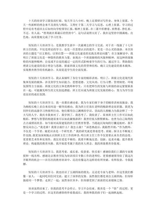 2020暑假班主任培训心得体会范文三篇