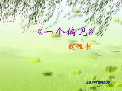 一个偏见