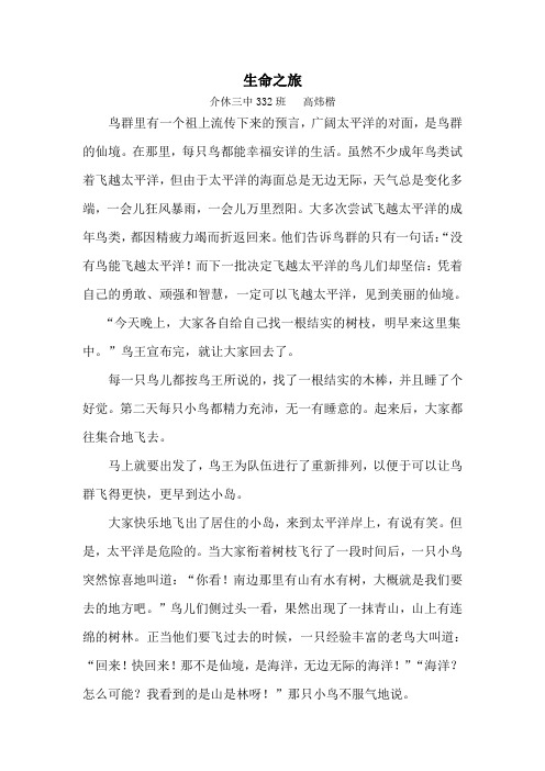 生命之旅