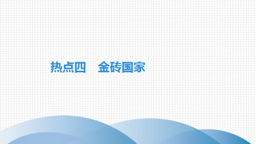 最新人教版七年级上册地理期末复习专题三地理时事热点 热点四 金砖国家