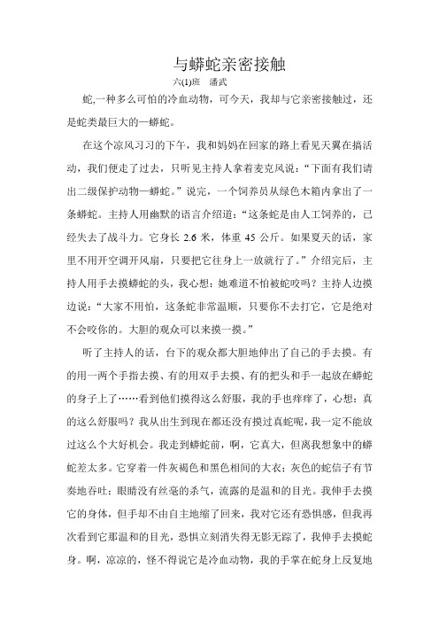 与蟒蛇亲密接触