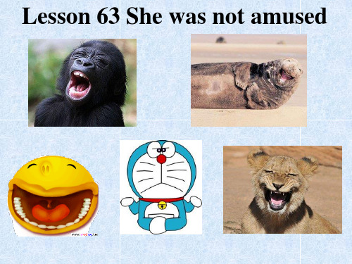 新概念英语第二册Lesson63——she was not amused 课件