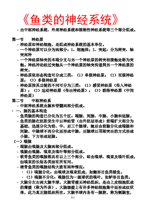 【免费下载】鱼类的神经系统
