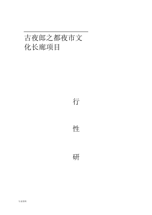 古夜郎之都夜市文化长廊项目可行性研究报告项目可行性研究报告