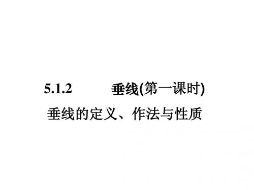 垂线第一课时