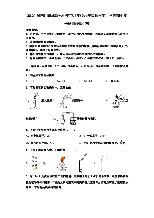 2024届四川省成都七中学育才学校九年级化学第一学期期中质量检测模拟试题含答案解析