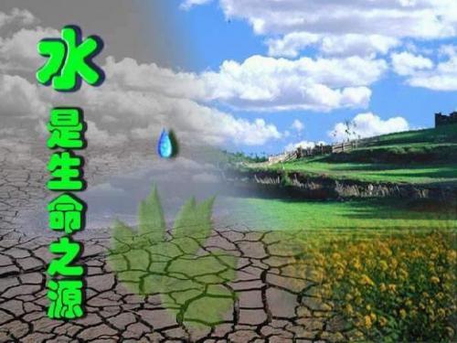 苏教版植物生长需要水和无机盐