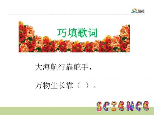 太阳家族课件